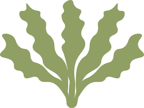 Green City Lab icon